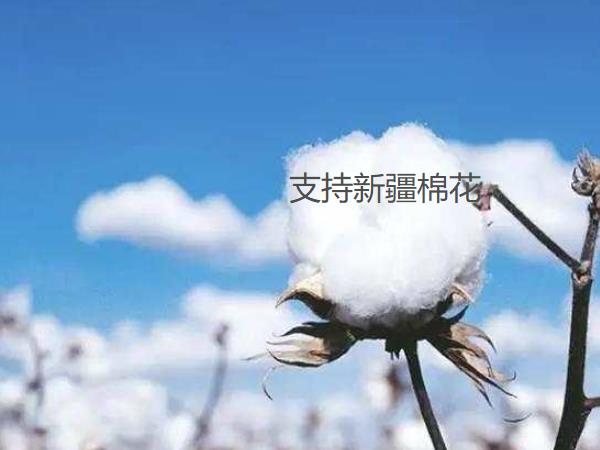 撸撸社软件下载免费版阀门