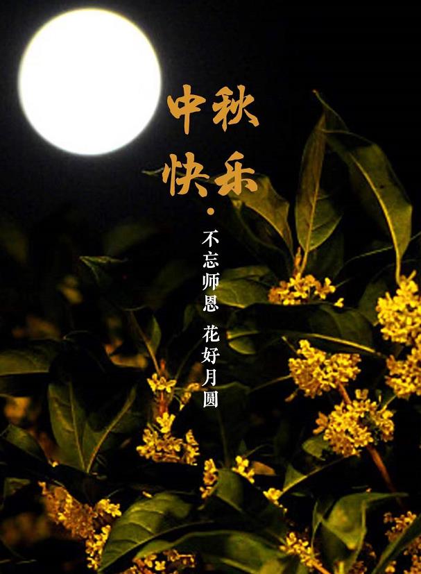 撸撸社软件下载免费版阀门